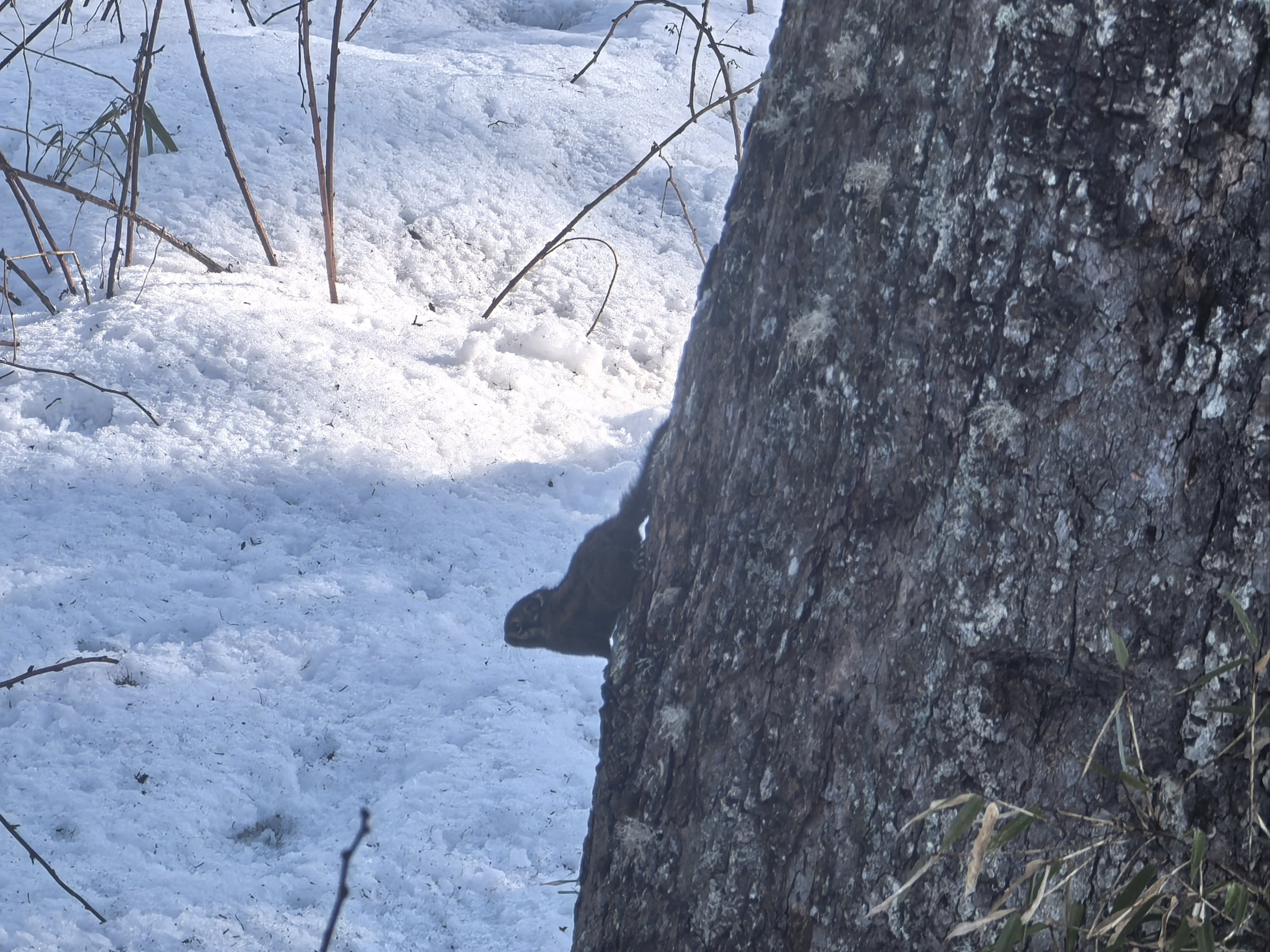 自然探险穿越赛，野外求生挑战极限技巧的简单介绍