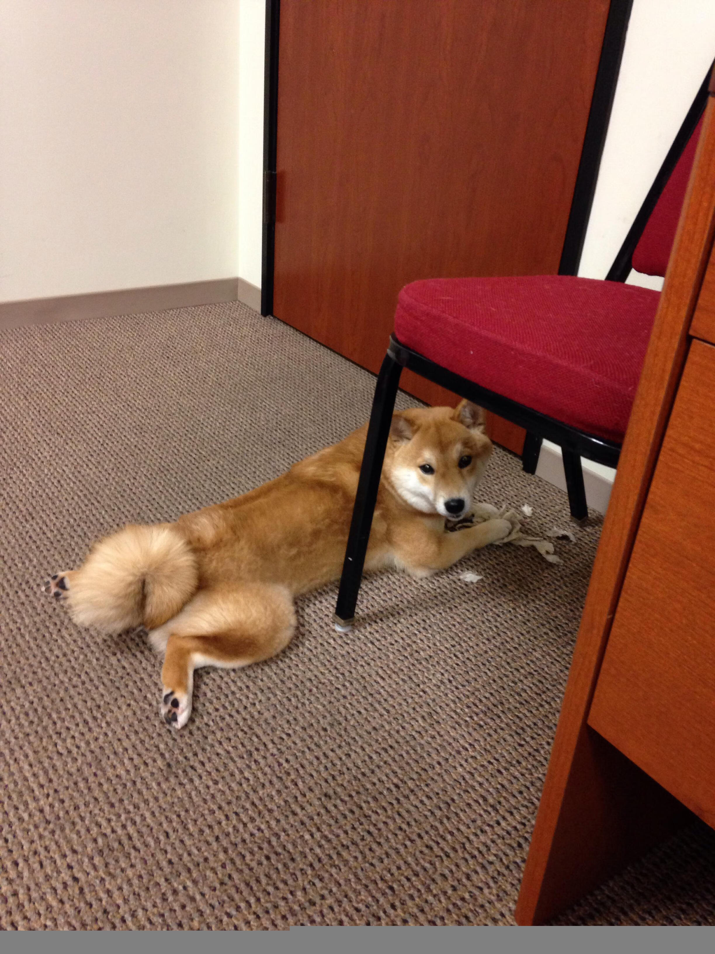 _联盟焦点:热火vs皇家具备看点_,热火vs黄蜂季后赛第七场