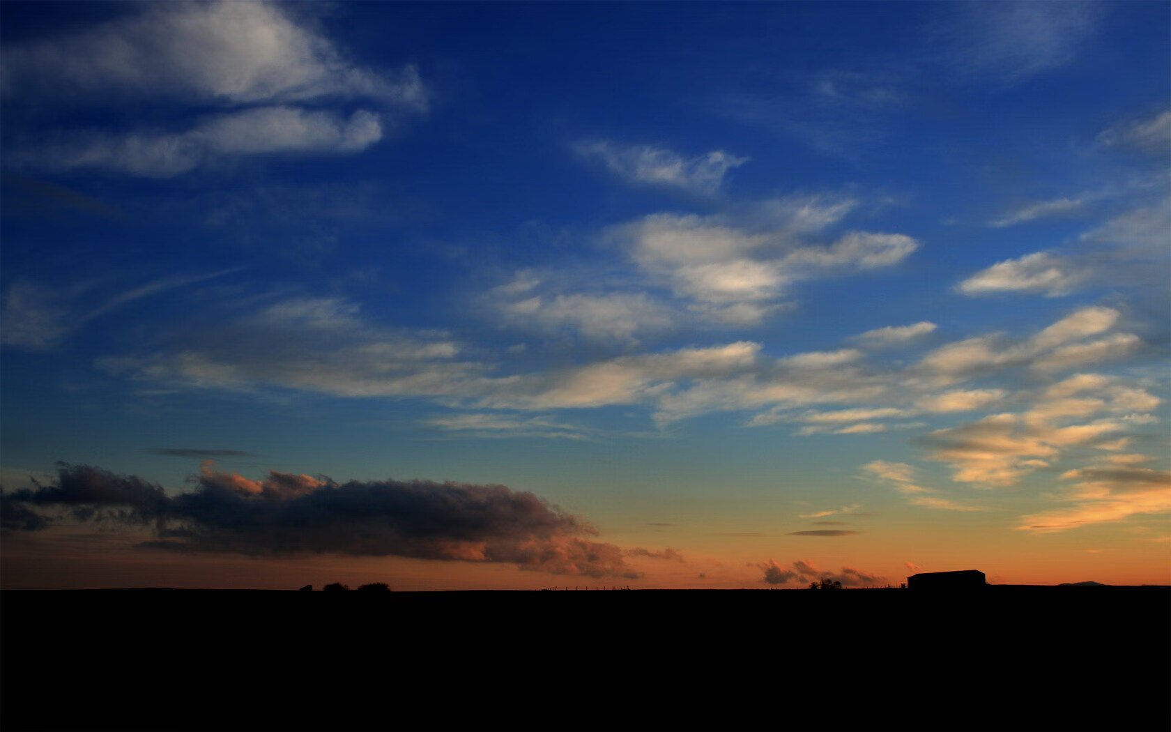 “雪域霸主：白色赛场的冠军归来”，雪域白图片