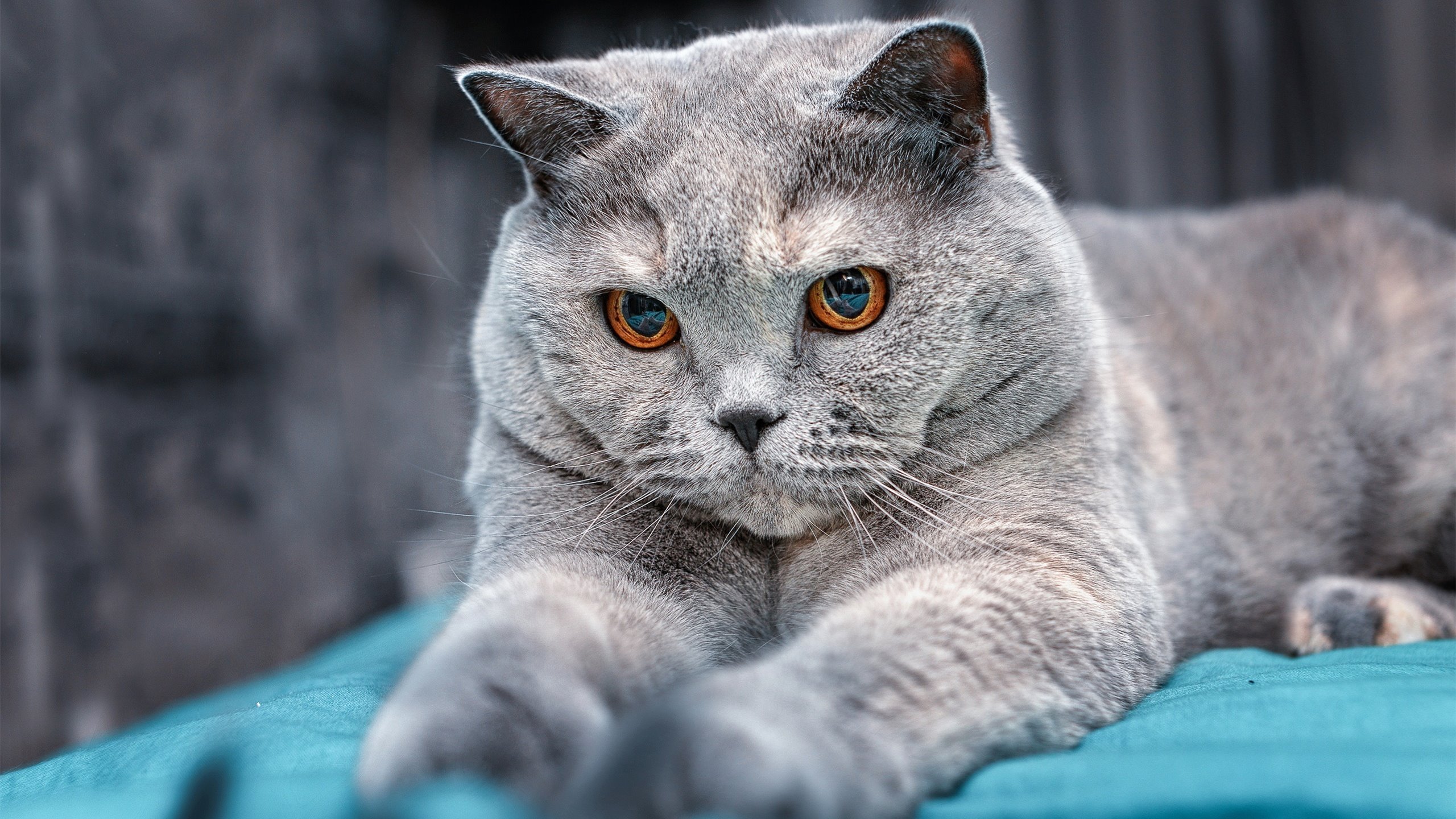 年度最美瞬间：视觉盛宴带你回顾精彩画面，最美瞬间摄影作品