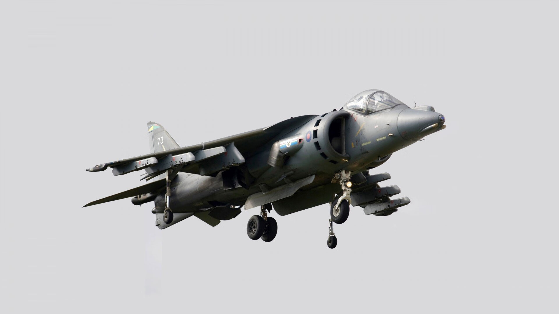 未来新星：深度挖掘联盟潜力股，未来new