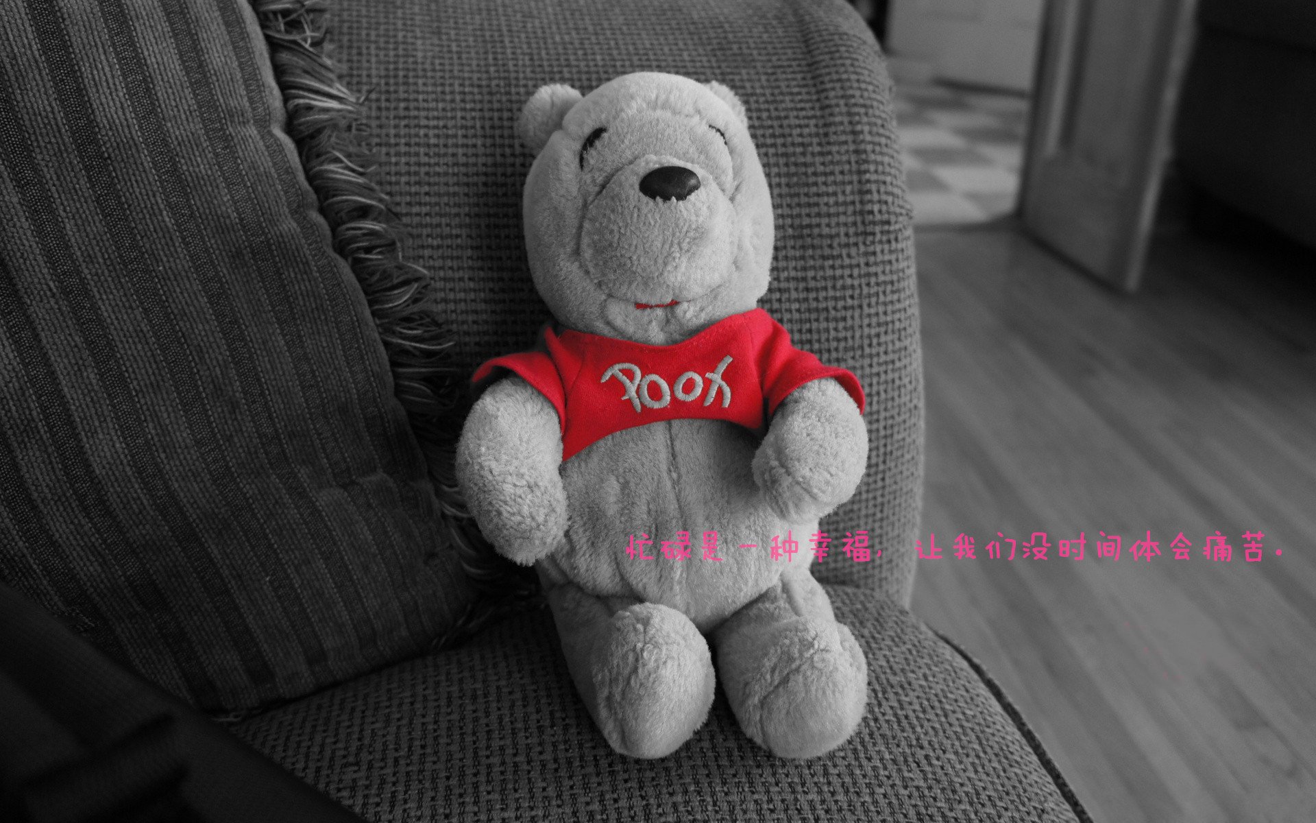 篮球运动员伤病康复方案多样化探索,篮球运动员 伤病