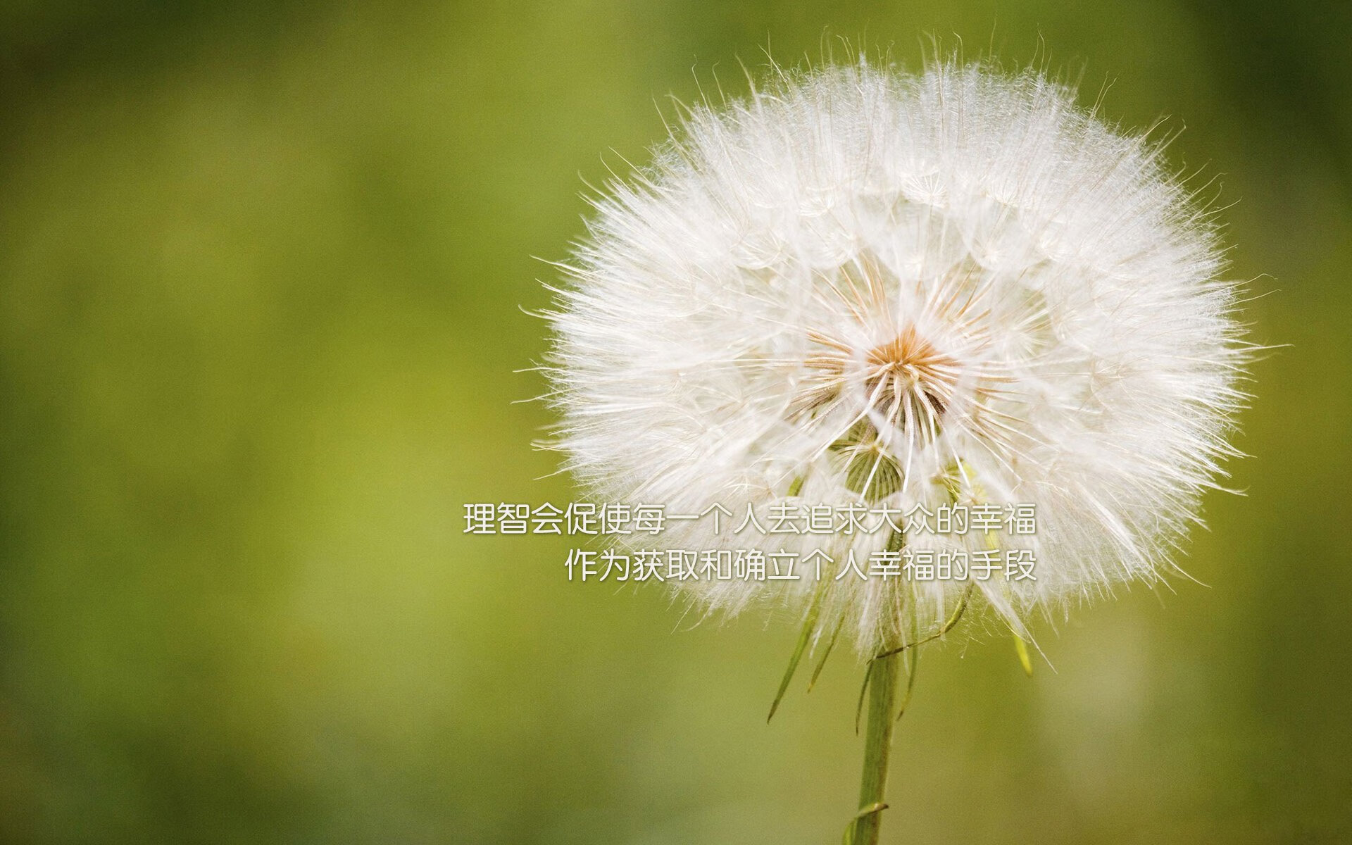 逆境中的“冠军梦”,欧冠中那些奇迹实现者,欧冠最伟大的逆转