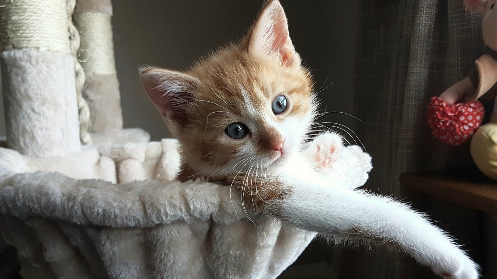 逆境中的“勇士心”：坚韧球员的奋斗故事，勇士例子