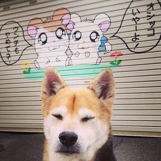 中国足球青少年教练培养机制完善，中国足球青少年教练培养机制完善的原因