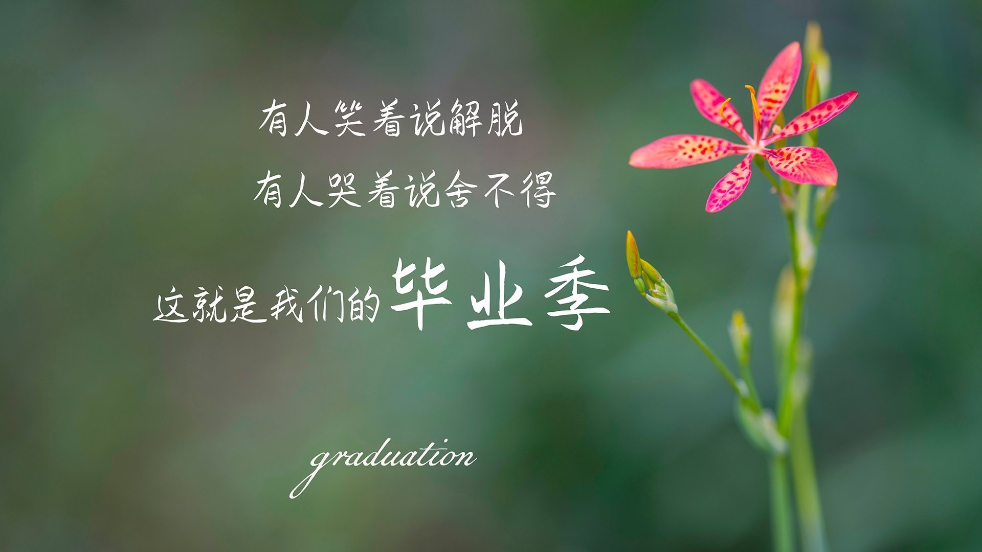 佛罗伦萨球员大胆发言,表达夺冠决心,佛罗伦萨队史50大球星