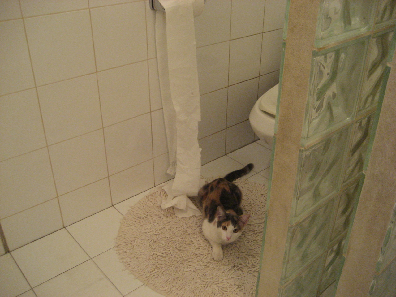 塞内加尔男足在巴黎奥运会上展现出强大的进攻火力，塞内加尔国家男子足球队