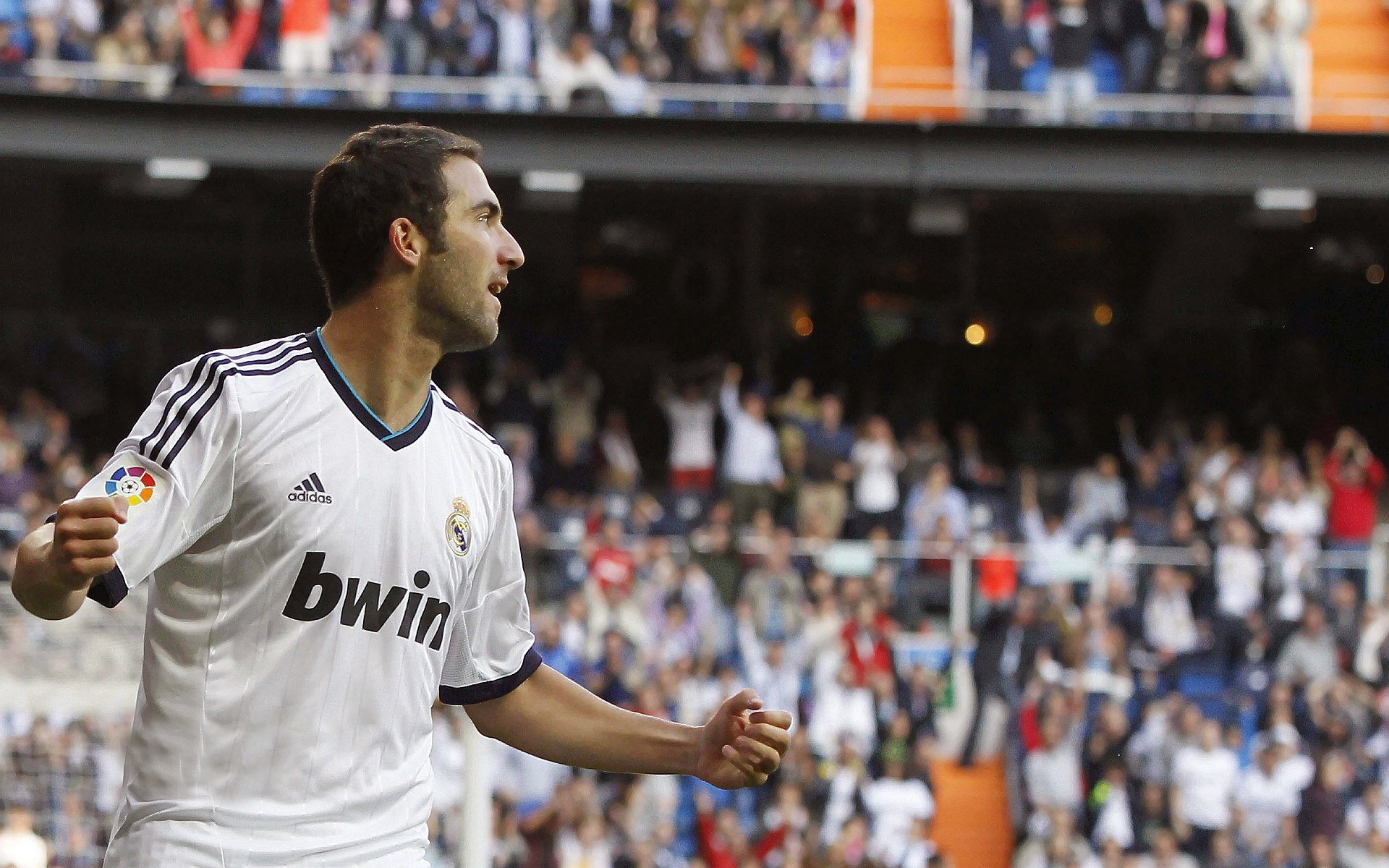 维达德卡萨布兰卡主场气氛堪比欧洲豪门，球迷热情高涨，卡萨布兰卡 kid