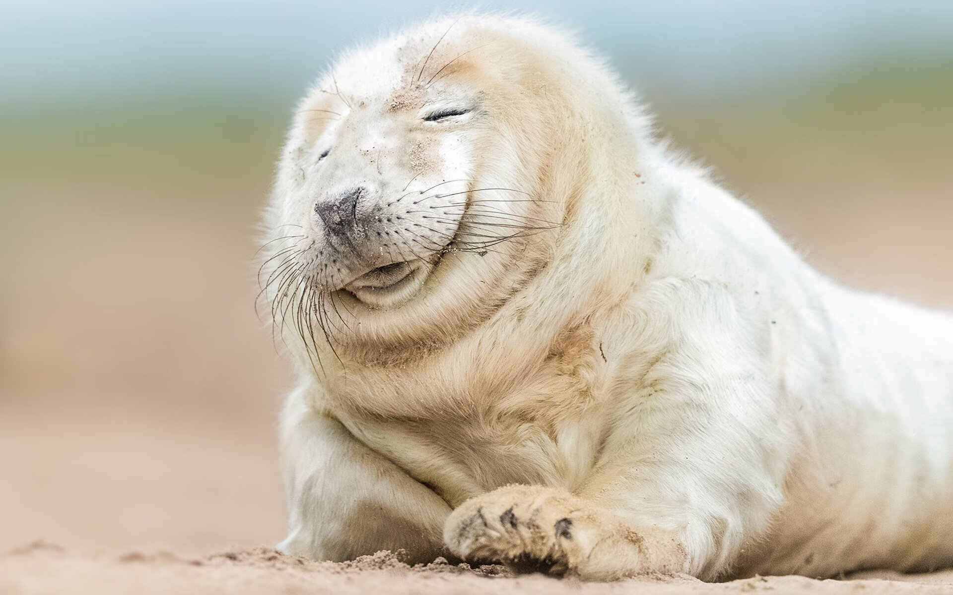 法甲防守策略转型对定位球失球率的影响，2021法甲用球