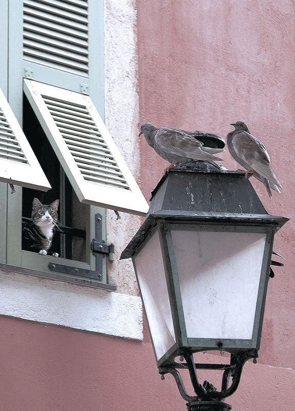 赛场内外:激烈比拼的战术分析与战役点评,战术对打