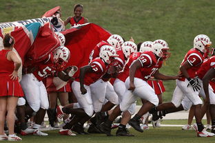 青少年体育参与行为及其影响机制探讨，青少年体育参与行为及其影响机制探讨论文