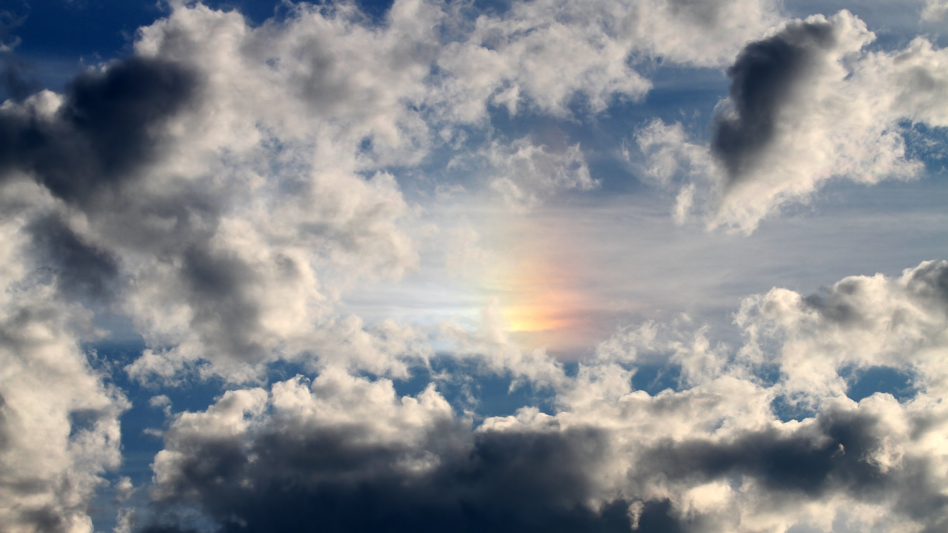 中超联赛中国队晋级 球迷群体积极互动，中超联赛所有队伍