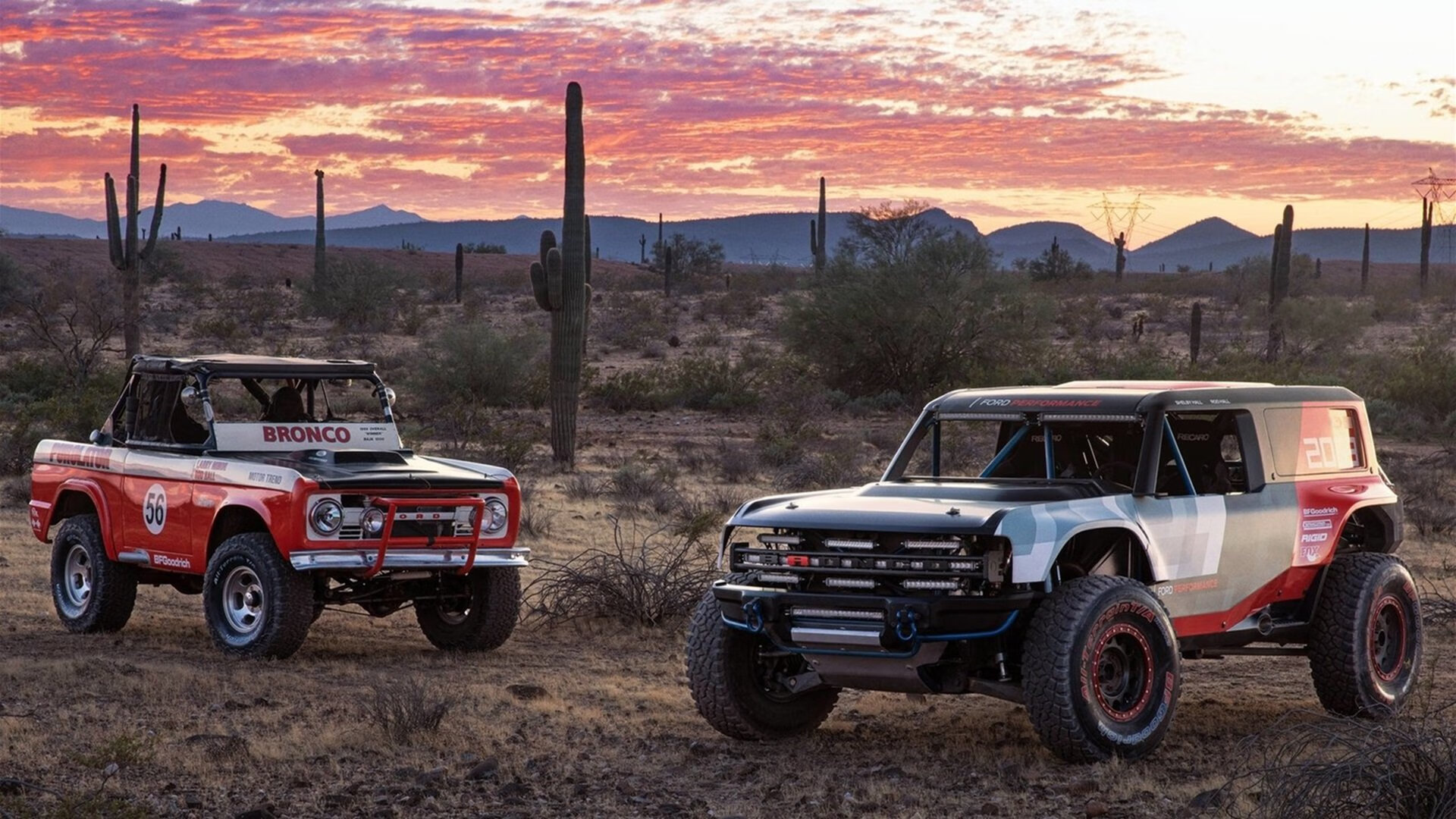 中超联赛中国队晋级 球迷群体积极互动，中超联赛所有队伍