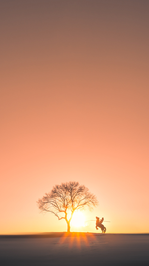 五大联赛红黄牌分布与比赛风格对比，五大联赛最快红牌