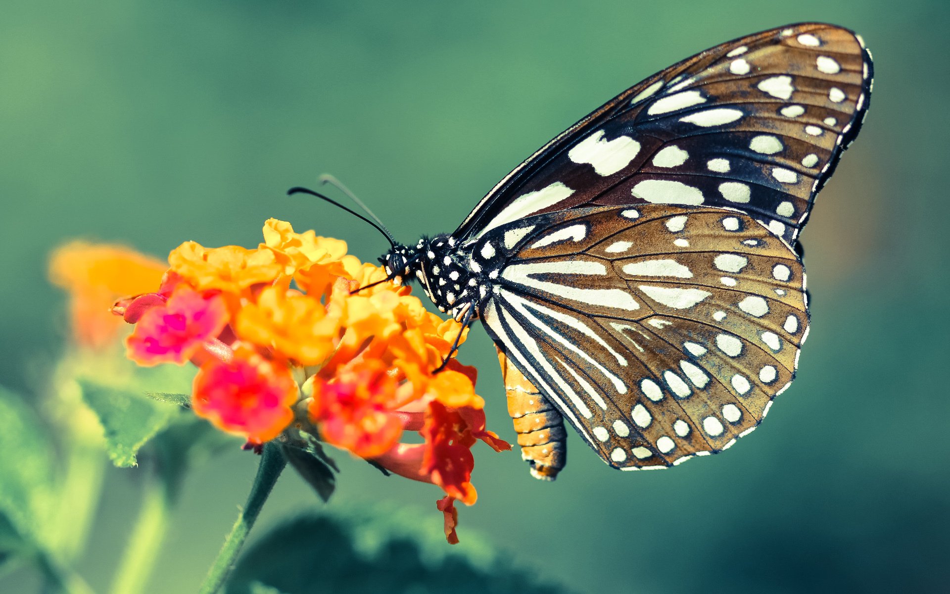 体育文化馆推出沉浸式互动展览,体育馆文化墙设计图