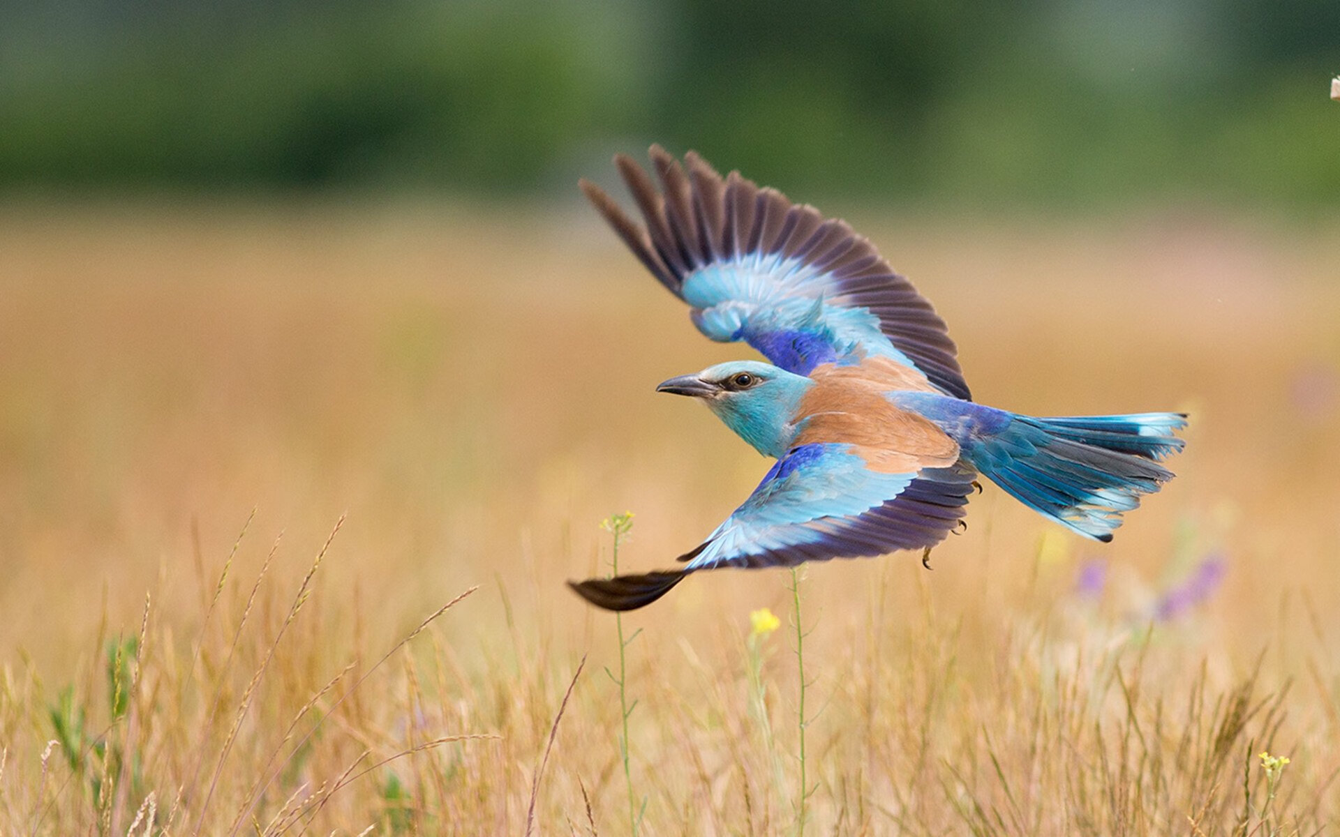 大学生排球赛火热进行晋级形势复杂，大学生排球赛策划方案