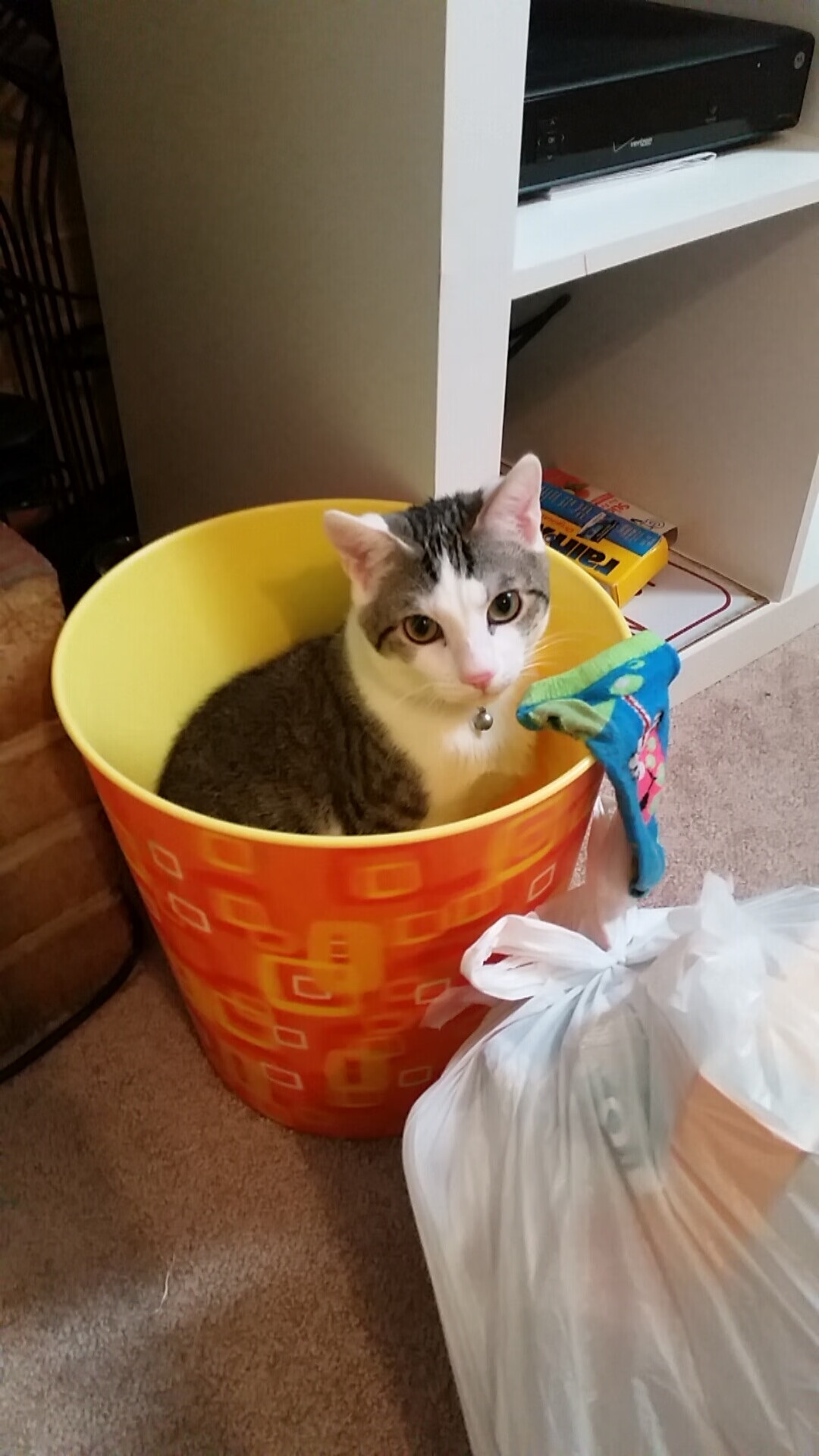 慢节奏比赛是否有利于限制核心球员爆发,慢节奏类型的是