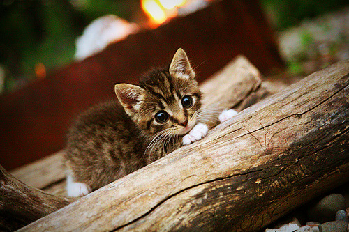 弗朗索瓦·斯图尔特：关键传球让南非队锋线一飞冲天，弗朗索瓦恩格勒特