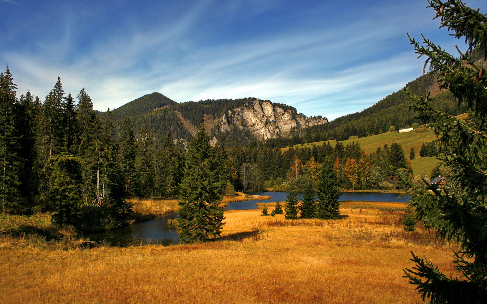 意甲高速突袭:瞬间破门点燃比赛!,意甲高能7秒