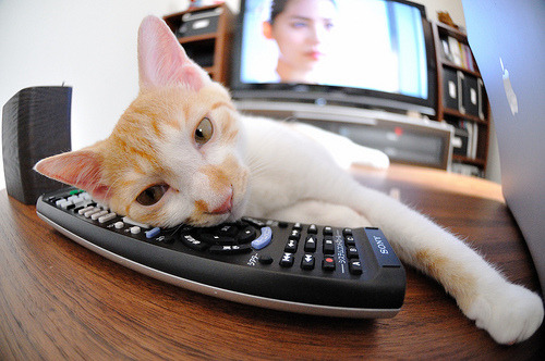 热火球员学习急停跳投提高投篮稳定性，热火连续抢七个进攻篮板